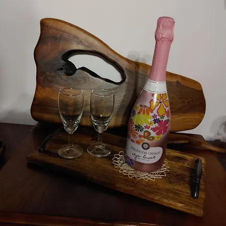 펜션 Pocitniska Hisa Prlecka