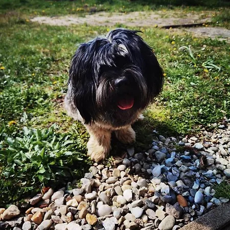 Pocitniska Hisa Prlecka Feriehus