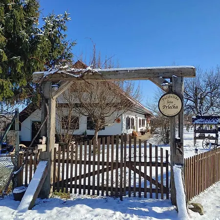 Semesterbostad Pocitniska Hisa Prlecka