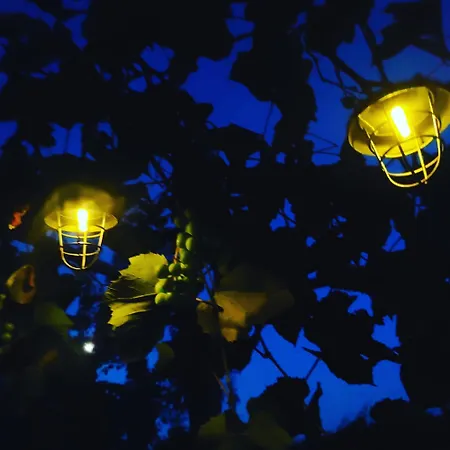 Pocitniska Hisa Prlecka