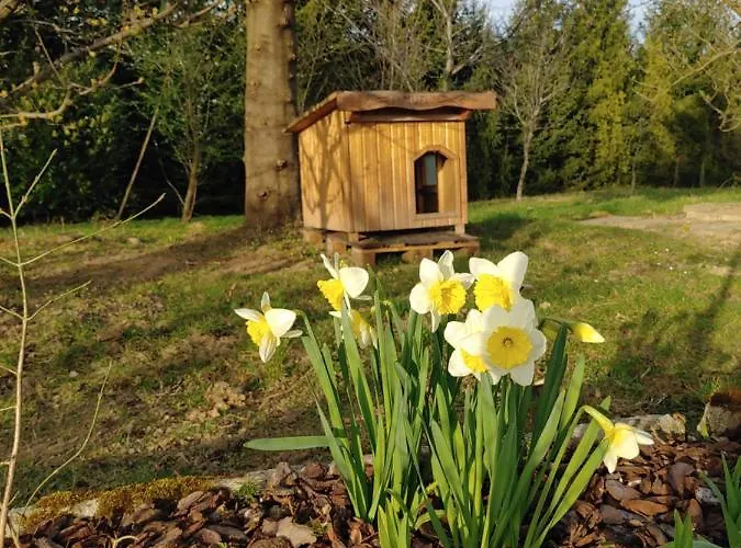 Pocitniska Hisa Prlecka Ferienhaus *