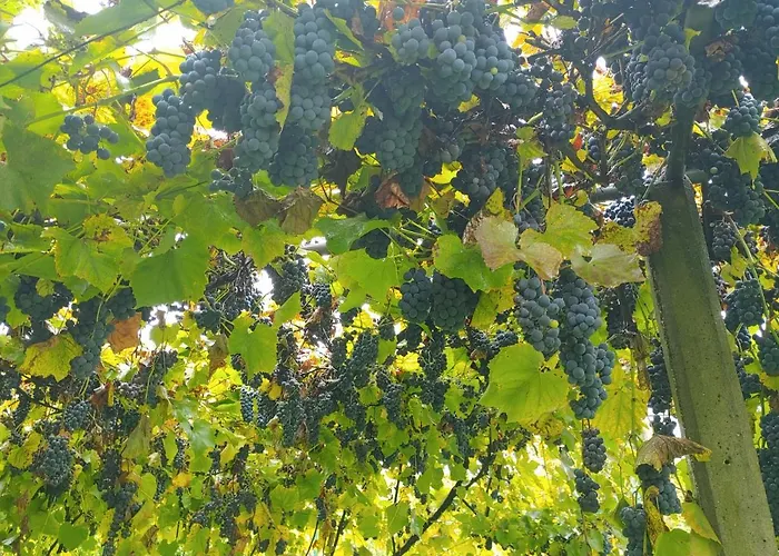 Pocitniska Hisa Prlecka * Miklavz pri Ormozu