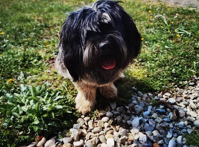 Pocitniska Hisa Prlecka Ferienhaus