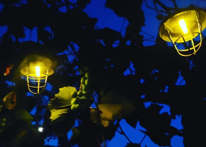 Pocitniska Hisa Prlecka