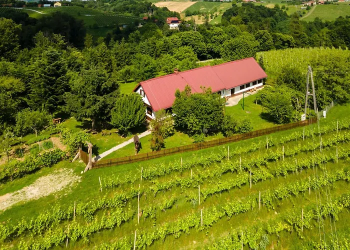 Pocitniska Hisa Prlecka Ferienhaus