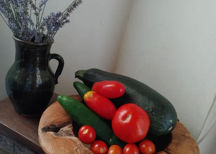 Pocitniska Hisa Prlecka